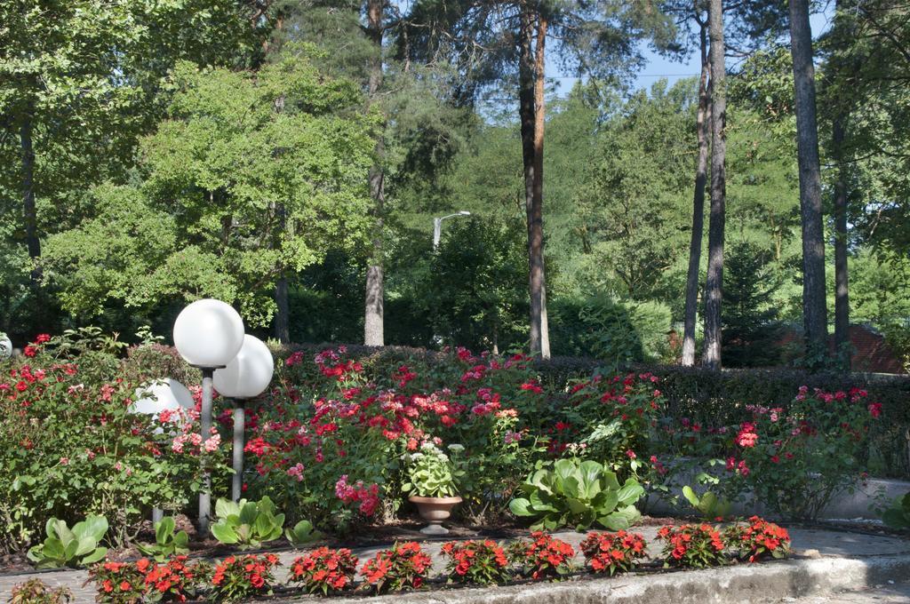 Bed and Breakfast Bed&Garden Cesate Екстер'єр фото